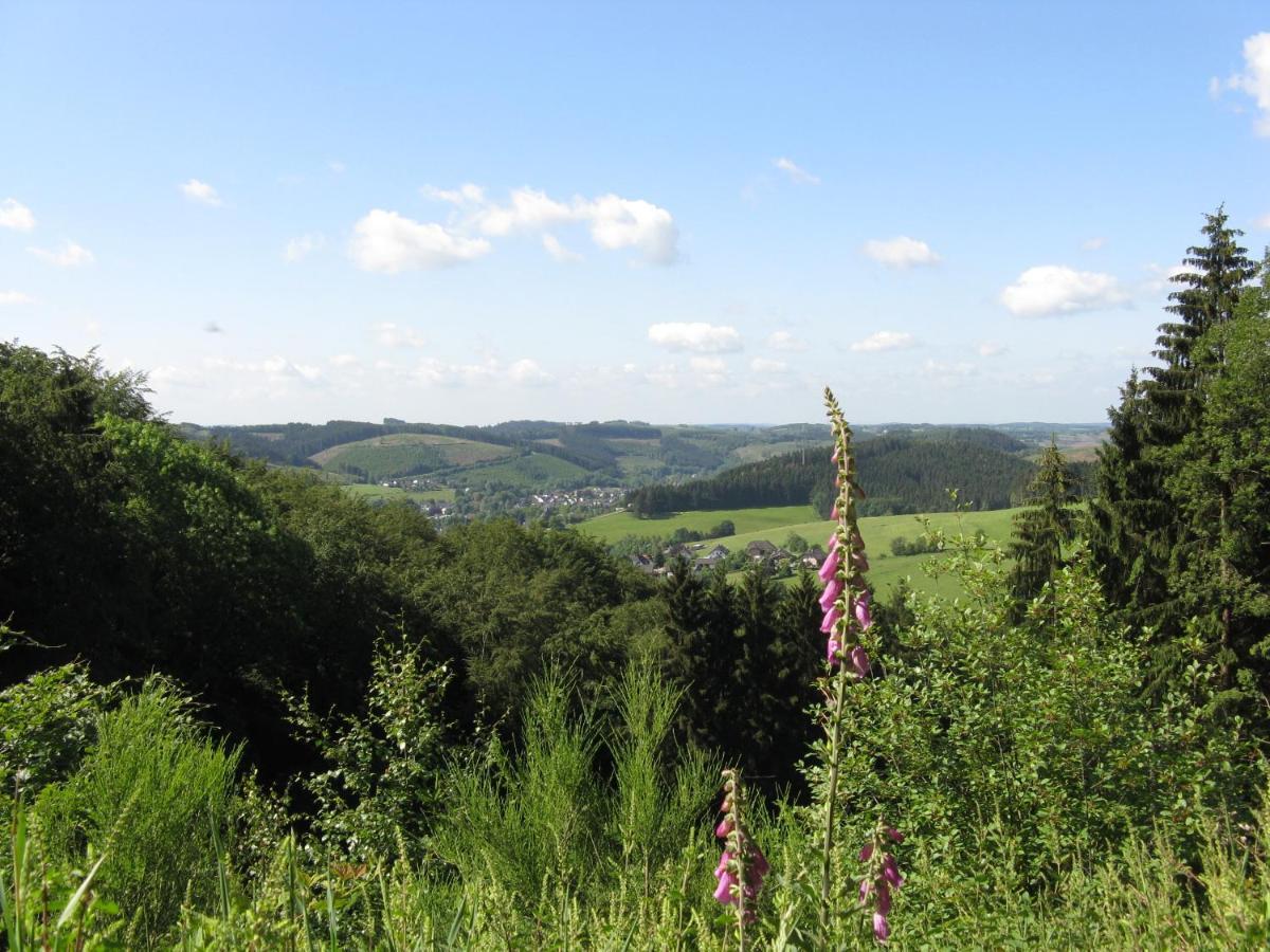 Urlaub Im Naturgarten Bergneustadt Экстерьер фото