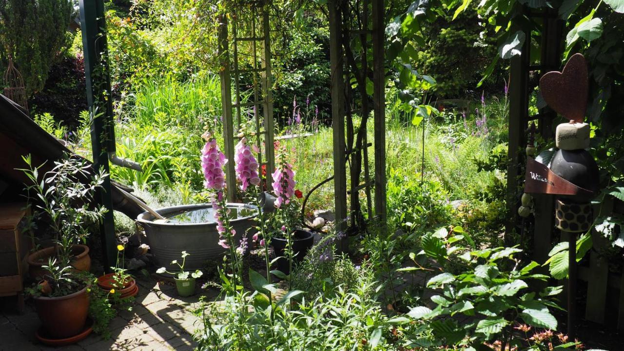 Urlaub Im Naturgarten Bergneustadt Экстерьер фото